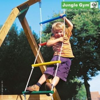 Jungle_gym_chimp_4fd5fc42942a6