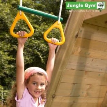 Jungle_gym_ring__4fd5ff0103c4c