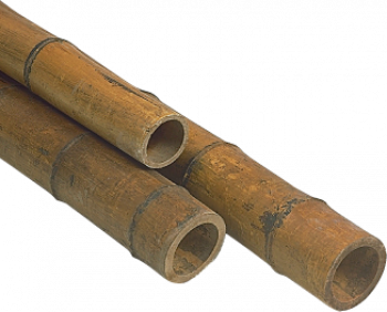 bamboe palen, bamboe paal, kleur naturel, 8x275 cm, 11x300, Ø8x275 cm, Ø11x300 cm